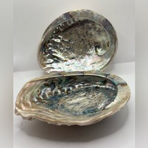 TWO Large 5.5” X 4” Abalone SHELLs- NATURAL  COASTAL DECORAT DISPLAY PIECE